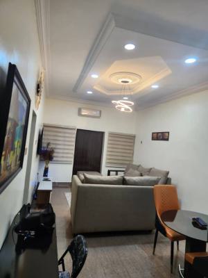 Fully Furnished Spacious and Exotic 3 Bedroom Flat, Maitama, Maitama District, Abuja, Terraced Duplex for Rent
