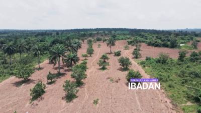 Palm City 2 Go Realty Land Banking Agriculture, Palm City 2 By Go Realty, Ido-eruwa Road, Ido, Oyo, Commercial Land for Sale