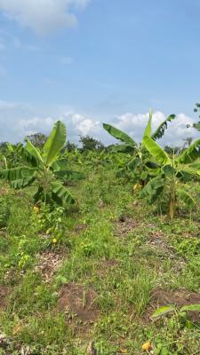 Heritage Farm City Fully Managed Farm Land, Few Minutes From Funnab, Abeokuta South, Ogun, Mixed-use Land for Sale