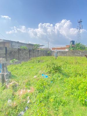 Half Plot of Dryland Measuring 312sqm, Lakowe, Ibeju Lekki, Lagos, Residential Land for Sale
