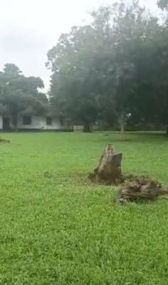 8 Plots of Land for. Commercial Avenue Main Gra, Benin, Oredo, Edo, Mixed-use Land for Sale