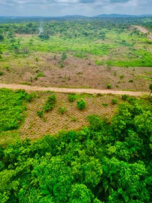 Earn 20 Million Naira Annually for 25 Years Owning This Farm Land, 30 Minutes Drive From Funnab, Abeokuta South, Ogun, Residential Land for Sale