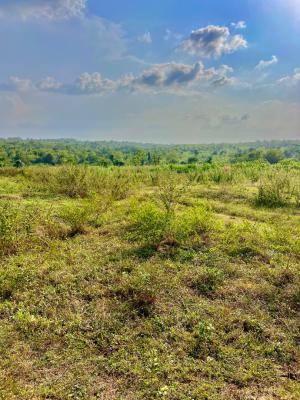 Lucrative Investment with Sustainable Agriculture, Lucrative Investment with Sustainable Agriculture, Abeokuta North, Ogun, Mixed-use Land for Sale