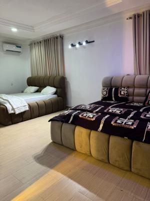 Fully Furnished One Bedroom, 6th Avenue, Gwarinpa, Abuja, Mini Flat (room and Parlour) Short Let