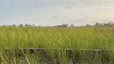 More Than a Plot, Good Environment, Very Close to Tiled Road, Well Developed Environment, Sangotedo, Ajah, Lagos, Residential Land for Sale