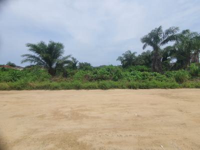 44 Hectares Sand-filled Coastal Land with Man-made Lake, Coastal Highway, Atewolara, Off Alpha Beach Road, Lekki, Lagos, Mixed-use Land for Sale