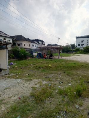 Commercial 4 Plot of Land in a Very Strategic Location, Cmb Road Back of Shoprite Sangotedo, Sangotedo, Ajah, Lagos, Commercial Land for Sale
