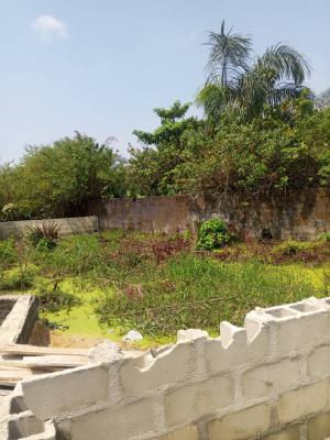 a Luxury Land with Excel, Royal Palm Will Estate, Badore, Ajah, Lagos, Residential Land for Sale