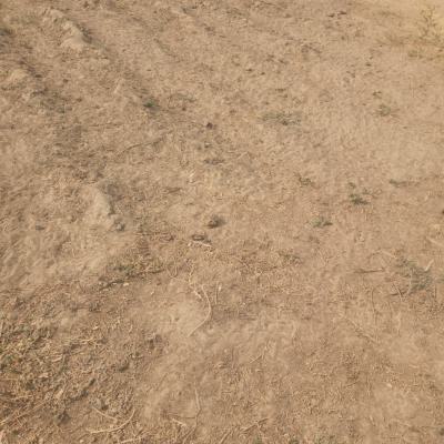 300sqm Estate Plot, Chikakore, Kubwa, Abuja, Residential Land for Sale