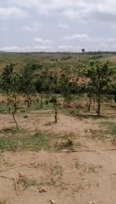 35 Hectares, Guzape 2, Guzape District, Abuja, Mixed-use Land for Sale