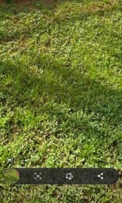 Open Land Space, Durosimi Etti, Lekki Phase 1, Lekki, Lagos, Mixed-use Land for Rent