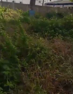 2009 Square Meters of Dry Land, Lateef Jakande, Ikeja, Lagos, Mixed-use Land for Sale