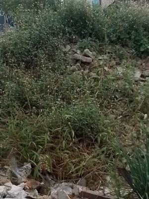 1,935sqm of Land, Along Glover Rd, Ikoyi, Lagos, Mixed-use Land for Sale