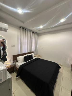 Sophisticated Jahi Atinuke Studio Apartment, Femi Gbajabiamila Crescent, Jahi, Abuja, Flat / Apartment Short Let