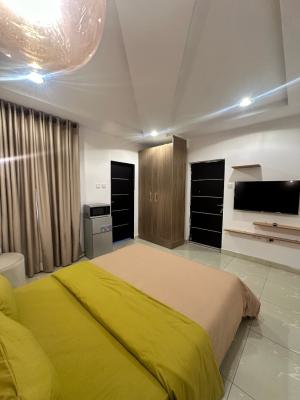 Sophisticated Studio Apartment, Femi Gbajabiamila Crescent, Jahi, Abuja, Flat / Apartment Short Let