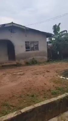 Virtually Half Plot of Land, Ikola, Eleyin, Ipaja, Lagos, Residential Land for Sale