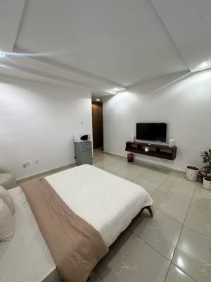 Sophisticated Studio Apartment, Femi Gbajabiamila Crescent, Jahi, Abuja, Flat / Apartment Short Let