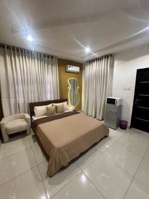 Sophisticated Studio Apartment, Femi Gbajabiamila Crescent, Jahi, Abuja, Flat / Apartment Short Let