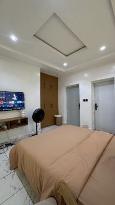 Sophisticated Tsa Katampe Jasmine Studio Apartment, Greenlane Street, Festrut Estate, Katampe, Abuja, Flat / Apartment Short Let