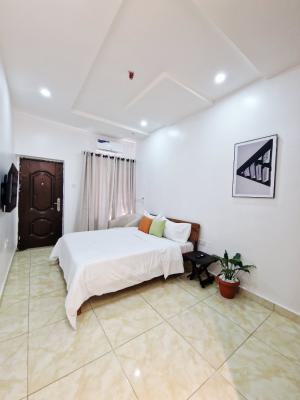 Sophisticated Studio Apartment, Sunny Okosun, Off Micheal Jackson Street, 5th Avenue, Gwarinpa, Abuja, Flat / Apartment Short Let