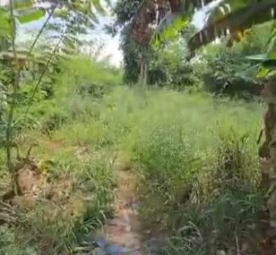 100ft By 200ft Land [1880sqm], Second Ugbor Road, Gra,, Benin, Oredo, Edo, Land for Sale