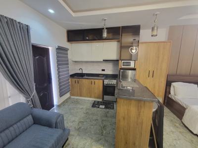 Luxury Smart Classic Studio Furnished and Service Apartment, Suncity Estate, Galadimawa, Abuja, Self Contain (single Rooms) Short Let