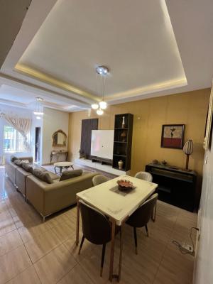 Spacious Furnished 2 Bedroom Apartment(ground Floor)., Nizamiye Hospital, Idu Industrial, Abuja, Flat / Apartment for Rent