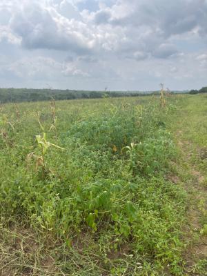 Next Generation Farm City, Ofuape, Abeokuta North, Ogun, Mixed-use Land for Sale