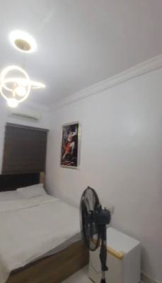 Furnished and Serviced Roomself with Ac,tv, Inverter,fridge, and So on, Surulere, Lagos, Self Contain (single Rooms) for Rent