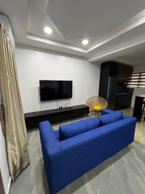 Nice Boston One Bedroom Apartment, Citec Estate, Mbora, Off Jabi Airport Road, Jabi, Abuja, Flat / Apartment Short Let