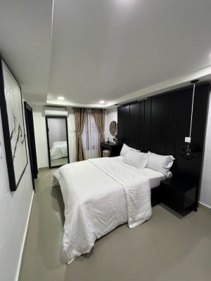 Nice Boston One Bedroom Apartment, Citec Estate, Mbora, Jabi, Abuja, Flat / Apartment Short Let