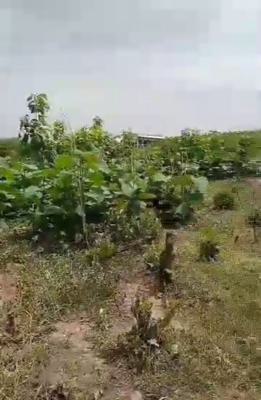 10.09 Hectares of Land., Guzape 2, Guzape District, Abuja, Mixed-use Land for Sale