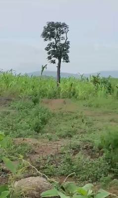 100 Hectares of Land, Maitama 2, Maitama District, Abuja, Mixed-use Land for Sale