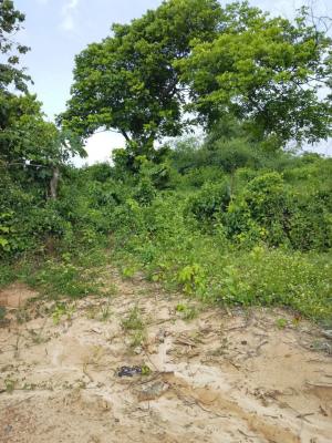 Full Plot of Land, Agunfoye Off Bayeku Road, Igbogbo, Ikorodu, Lagos, Residential Land for Sale