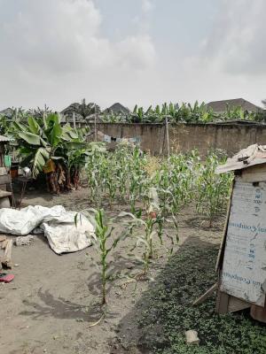 Strategic Landed Property in Thinkers Corner Enugu, Penoks By Old Road Thinkers Corner Enugu, Thinkers Corner, Enugu, Enugu, Residential Land for Sale