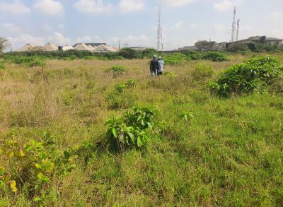 Exclusive Offer: 600sqm Gazette-backed Plots (over 40 Plots Available), Creek Road,  Oko Abe, Sangotedo, Ajah, Lagos, Mixed-use Land for Sale