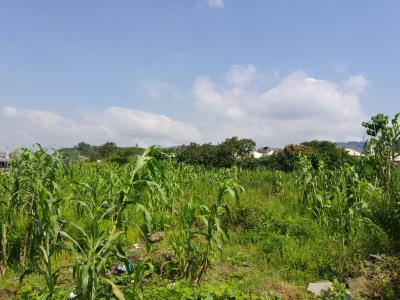 Residential Plot, Gishiri Community, Katampe (main), Katampe, Abuja, Residential Land for Sale