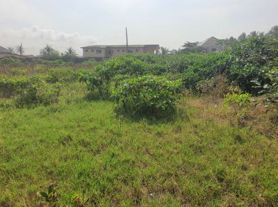 Premium 70+ Plots of Dry Bareland, Monastery Road, Sangotedo, Ajah, Lagos, Mixed-use Land for Sale
