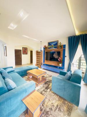 3_bedroom Fully Furnished Apartment with Bq, Maitama, Maitama District, Abuja, Flat / Apartment for Rent