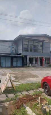 Commercial Property, Victoria Island (vi), Lagos, Detached Duplex for Rent