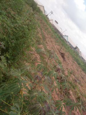 Very Beautiful Buy and Build, Enugu, Enugu, Residential Land for Sale