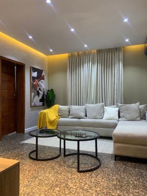 a Luxurious Two Bedroom High Rise Apartment, Lekki Phase 1, Lekki, Lagos, Flat / Apartment Short Let