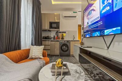 a Chic 1-bedroom Apartment, Old Ikoyi, Ikoyi, Lagos, Mini Flat (room and Parlour) Short Let