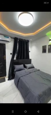 Luxurious Smart Home Self-contain, Gbagada, Gbagada, Lagos, Self Contain (single Rooms) Short Let