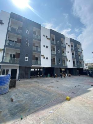 Spacious 2 Bedroom Apartments in a Good Location, Ikate, Lekki, Lagos, Flat / Apartment for Sale