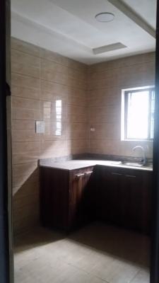 Executive Modern Newly Built Units of Mini Flats, Off Fashoro, Surulere, Surulere, Lagos, Mini Flat (room and Parlour) for Rent