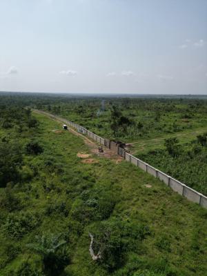 This Is a Golden Opportunity to Make Money From Agriculture, Heritage Farm City, Alabata Abeokuta, Odeda Lga, Odeda, Ogun, Land for Sale