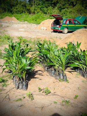 Make Money From Agriculture Without Touching The Soil, Heritage Farm City, Alabata Abeokuta, Funaab Axis, Odeda, Ogun, Mixed-use Land for Sale