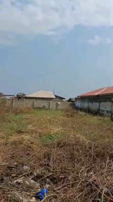 There Is a Client for Half a Plot, Another One Needed, Along Community Street, Apelehin, New Garage, Bariga, Shomolu, Lagos, Mixed-use Land for Sale