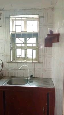 2 Units Decent Portable Mini Flat Bq, 1t 1b Behind a Flat, 4 Occupants, Medina Estate, Medina, Gbagada, Lagos, Mini Flat (room and Parlour) for Rent